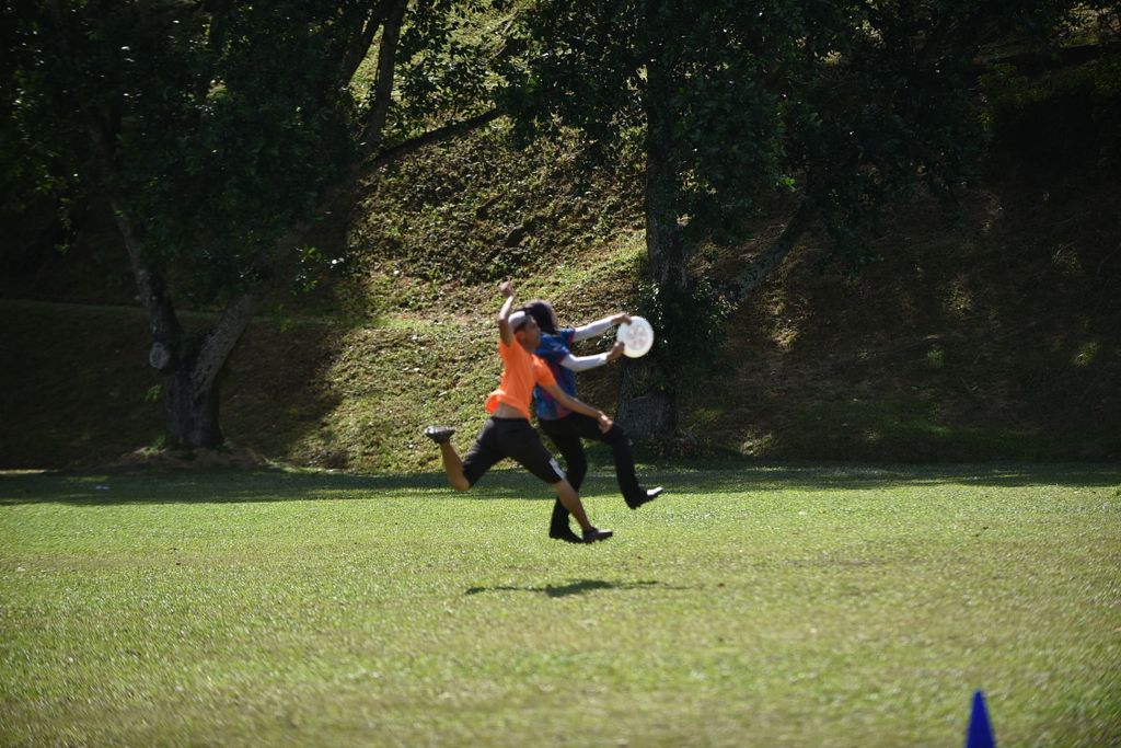 Dsc 0716